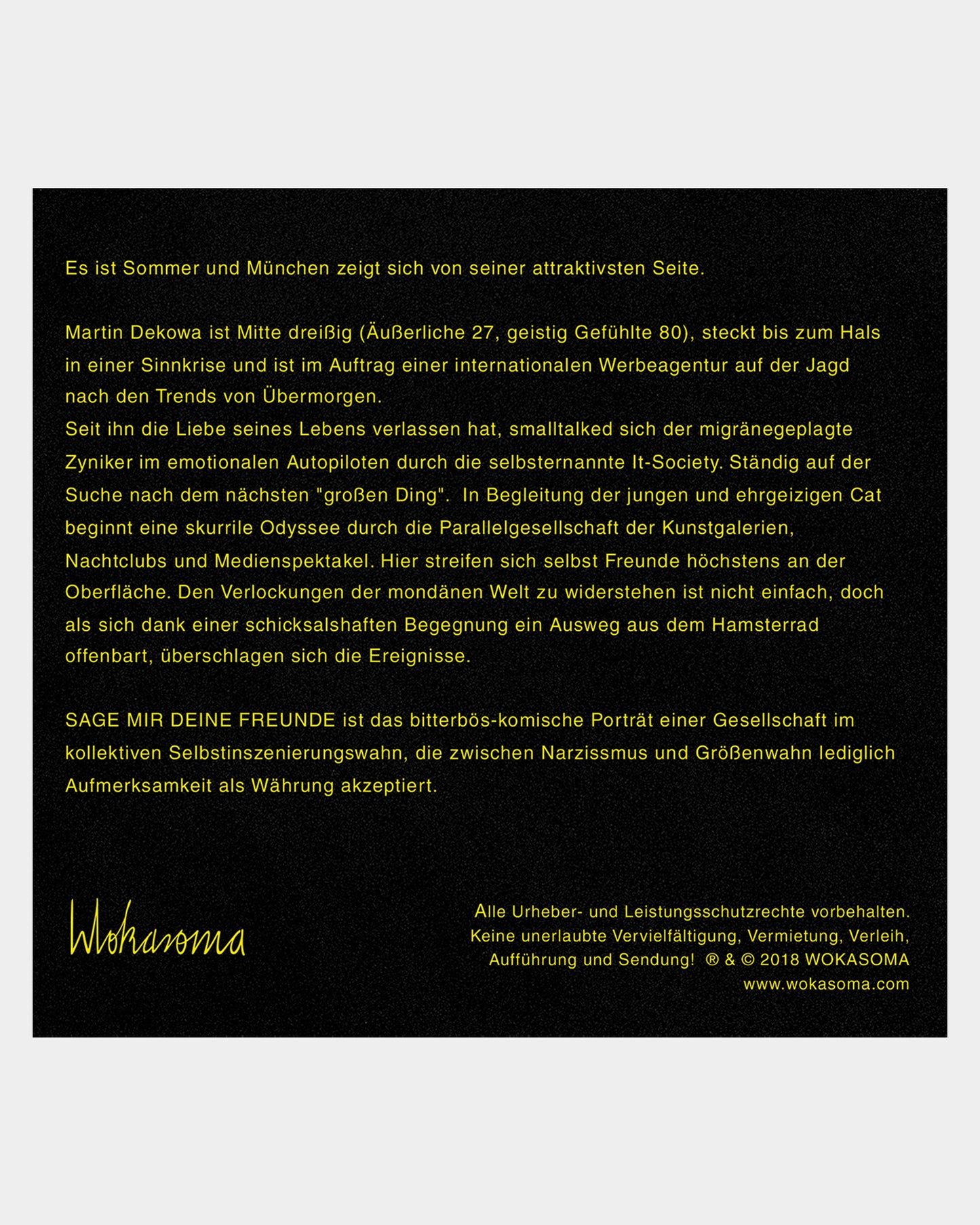 Sage mir deine Freunde (Hörbuch)